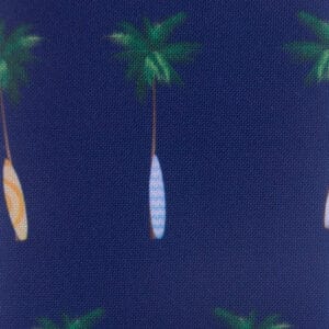 Tela NT Beach And Palm Tree