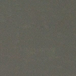 Buck Carbon