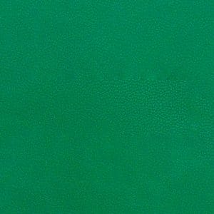 Cabra Corte Astro Green