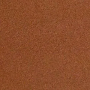 Coquer Taupe