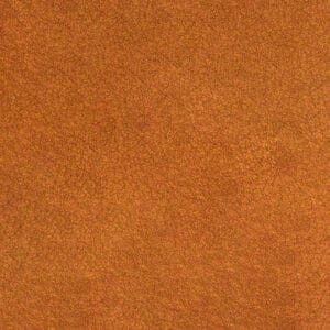 Newbuck Camel