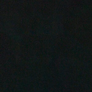 Olmo Negro